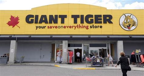 gant tiger|giant tiger locations.